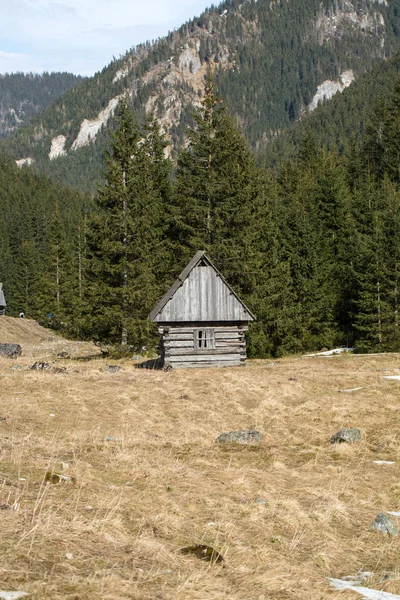 Houten hutten in de vallei van de Chocholowska in het voorjaar, Tatra gebergte — Stockfoto