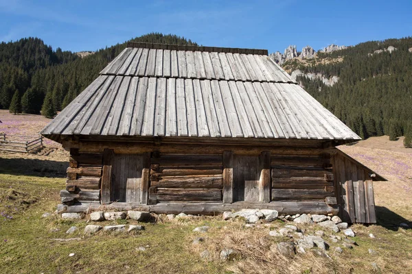 Houten hutten in de vallei van de Chocholowska in het voorjaar, Tatra gebergte — Stockfoto
