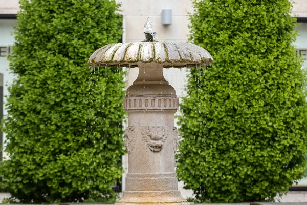 Fonte na Piazza delle Erbe em Verona — Fotografia de Stock