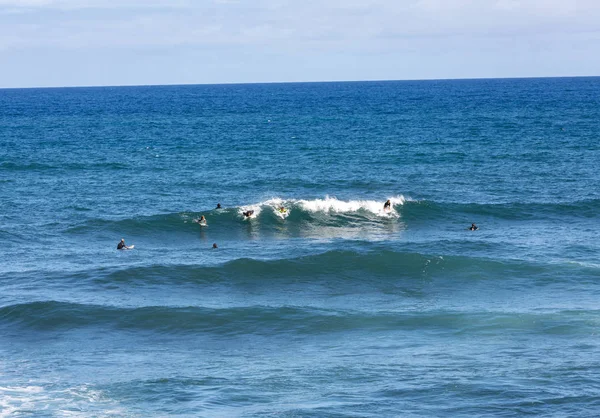 Surfistas en acción en la isla de Madeira — Foto de Stock