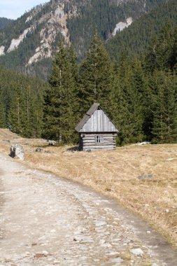 Bahar, Tatra Dağları Chocholowska Vadisi'nde ahşap kulübeler