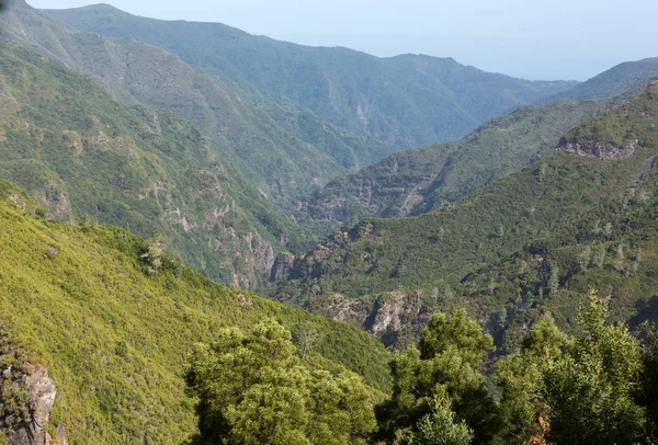 Légi panorámájának ékkövei hegyek és esőerdők dombok Madeira — Stock Fotó
