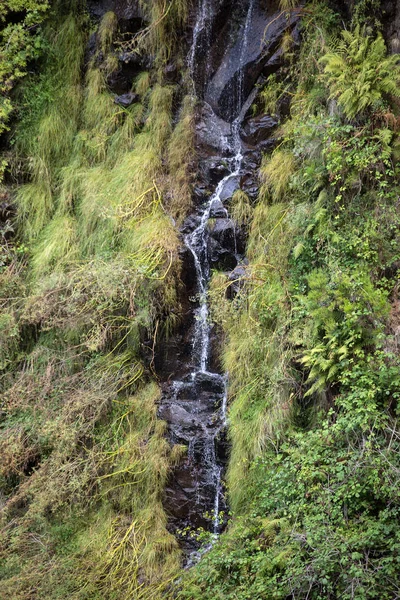 Risco Cascada de las Veinticinco Fuentes Levada sendero de senderismo, Madeira — Foto de Stock