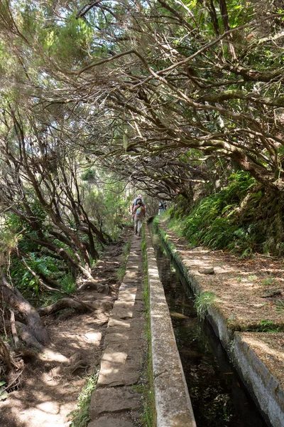 Turisztikai séta öntözőcsatorna alkotja. Történelmi vízellátó rendszer, ismert Levada trópusi erdő, Madeira-sziget — Stock Fotó