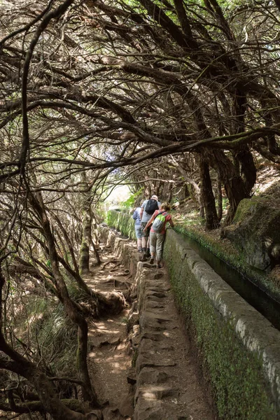 Turisztikai séta öntözőcsatorna alkotja. Történelmi vízellátó rendszer, ismert Levada trópusi erdő, Madeira — Stock Fotó
