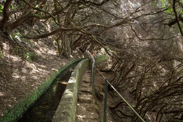 Туристичні прогулянки уздовж каналу Левада. Острів Мадейра — стокове фото