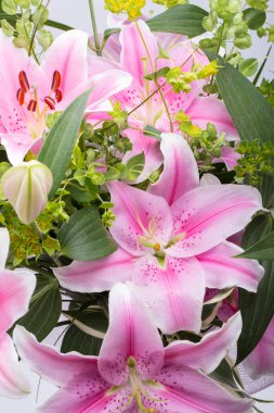 Pembe zambak çiçeğine yaklaş