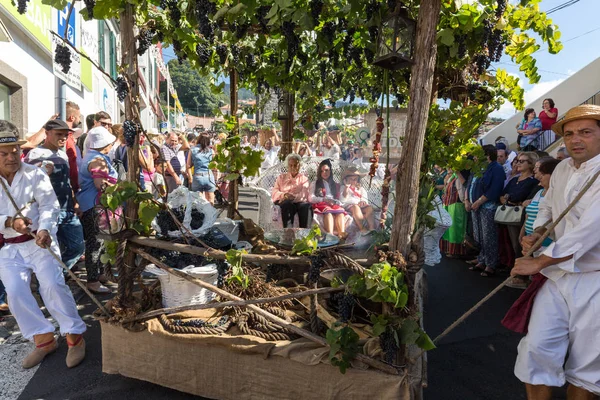 Festival vína Madeira — Stock fotografie