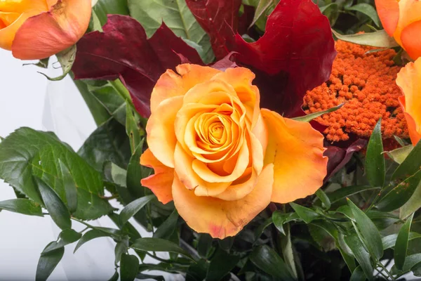 Kytice oranžových růží — Stock fotografie