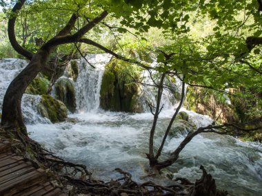 Nefes kesen manzarası Plitvice Gölleri Milli Parkı 