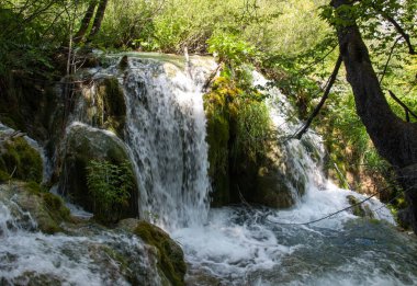 Nefes kesen manzarası Plitvice Gölleri Milli Parkı 