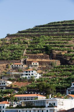 Camara de Lobos - geleneksel balıkçı köyü, Funchal Madeira beş kilometre yer alır.