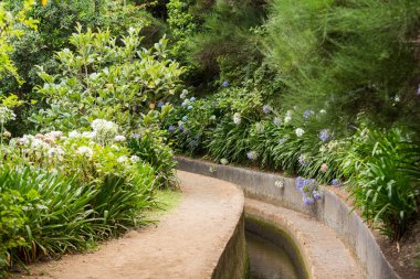 Madeira 'da Boca da Encumeada yakınlarında Levada do Norte