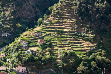 Güneye doğru--dan belgili tanımlık geçmek Boca da Encumeada Madeira görüntülemek.