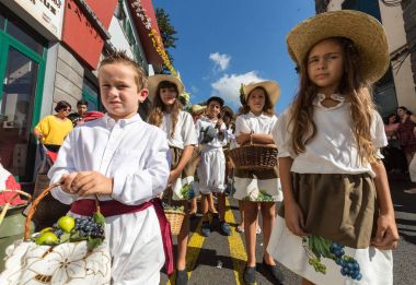Madeira Şarap Festivali, Estreito de Camara de Lobos, Madeira, Portekiz.