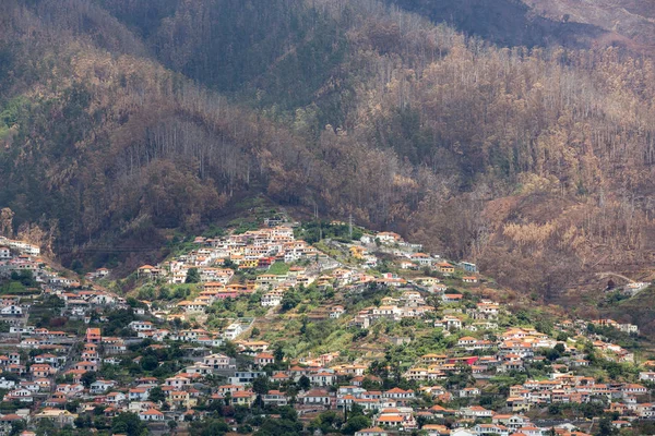 Panoramik Funchal. — Stok fotoğraf