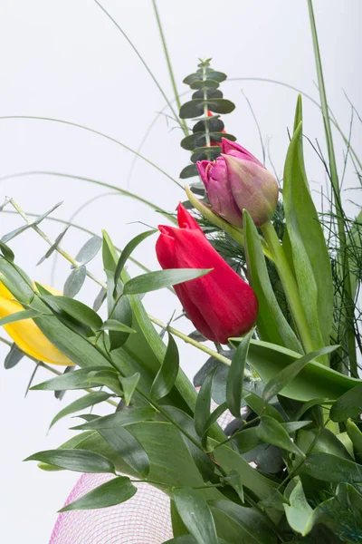 Красочный букет свежих весенних цветов тюльпана  . — стоковое фото