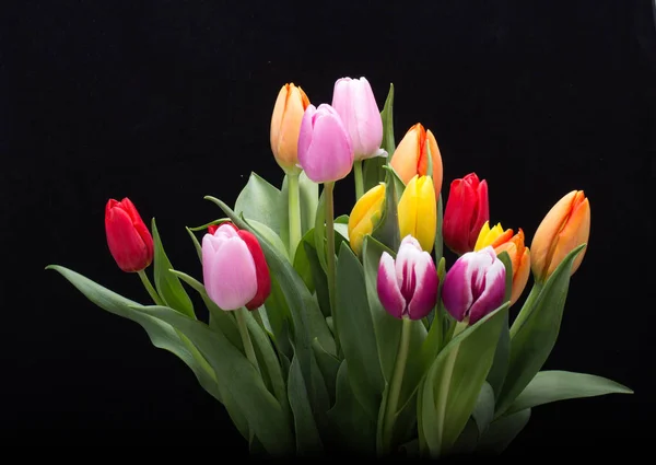 Bunter Strauß frischer Frühlingsblumen . — Stockfoto