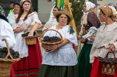 Madeira şarap Festivali 