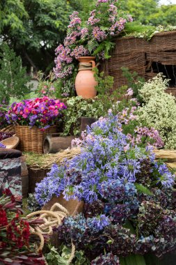 Madeira şarap Festivali 