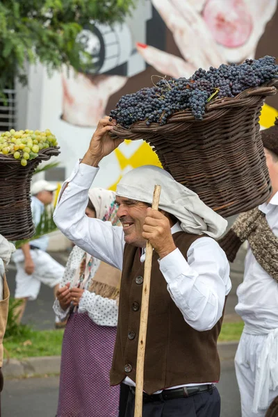 Madeira Wine Festival — Stock Photo, Image