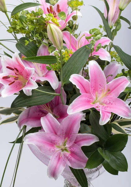 Flor de lírio rosa — Fotografia de Stock