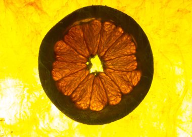 Bir greyfurt dilim su yakın çekim.