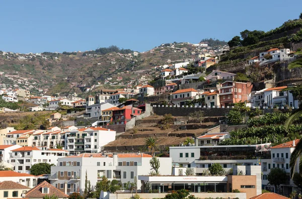 Câmara de lobos — Foto Stock