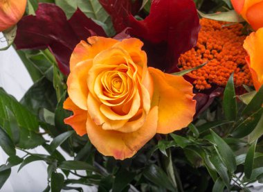 güzel turuncu gül buketi