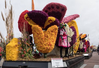geleneksel çiçek Bloemencorso Noordwijk Hollanda'da Haarlem için geçit töreni