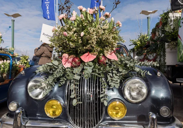 El tradicional desfile de flores Bloemencorso de Noordwijk a Haarlem en los Países Bajos —  Fotos de Stock