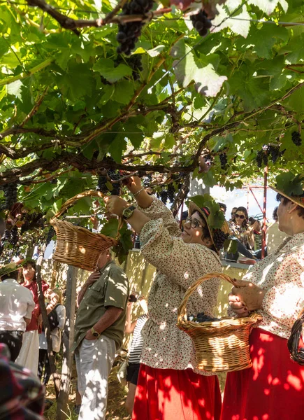 Madeira Wine Festival in  in Estreito de Camara de Lobos, Madeira, Portugal. — Stock Photo, Image