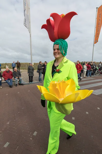 Die traditionelle blumenparade bloemencorso von noordwijk nach haarlem in den Niederlanden. — Stockfoto