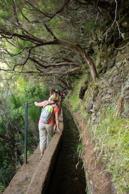 Turist levada kanal yürüyor. Madeira Adası, Portekiz