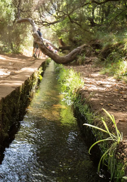 Tourist is walking  along irrigation canals. Historic water supply system, known as Levada in tropical forest, Madeira Island, Portugal — Stock Photo, Image