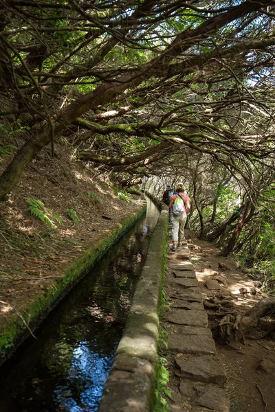 El turista está caminando a lo largo del canal Levada. Isla de Madeira, Portugal — Foto de Stock