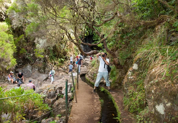 El turista está caminando a lo largo del canal Levada. Isla de Madeira, Portugal — Foto de Stock