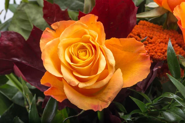 Krásnou kytici růží oranžové — Stock fotografie