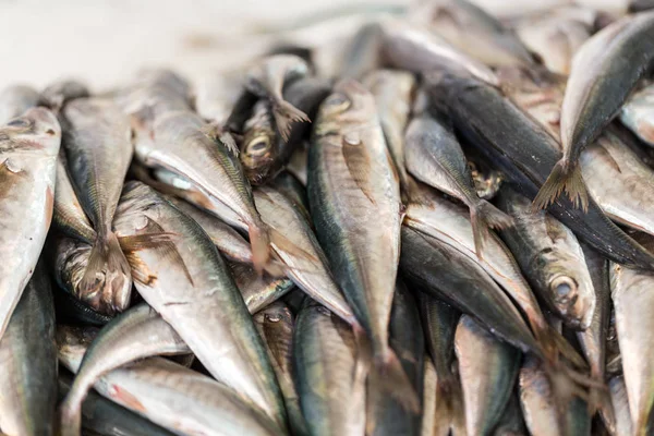 Verse vis vangen op verkoop op lokale vismarkt. — Stockfoto