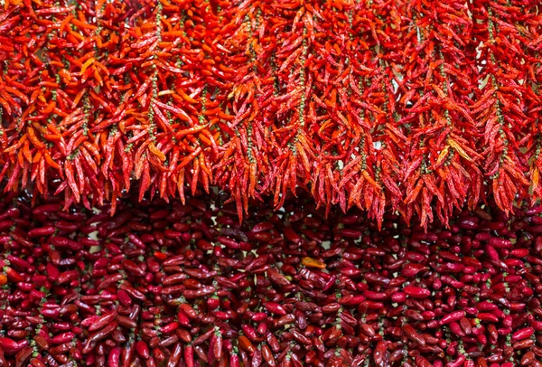 Červená Chili peppers na řetězec v Funchal na Madeiře — Stock fotografie