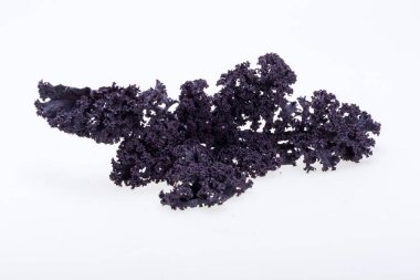 Taze mor kıvırcık lahana lahana