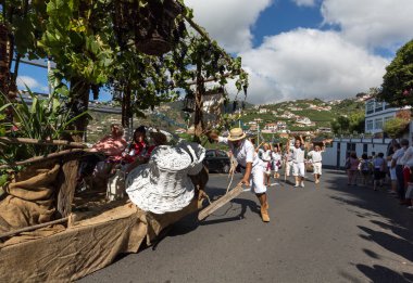 Madeira Şarap Festivali, Estreito de Camara de Lobos, Madeira, 