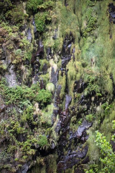 Risco Cascada de las Veinticinco Fuentes Levada sendero de senderismo, Madeira Portugal . — Foto de Stock