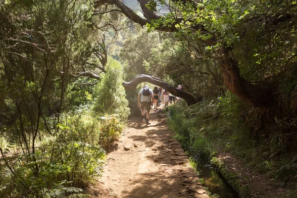 El turista camina por los canales de irrigación. Sistema histórico de abastecimiento de agua, conocido como Levada en el bosque tropical, Isla de Madeira . — Foto de Stock