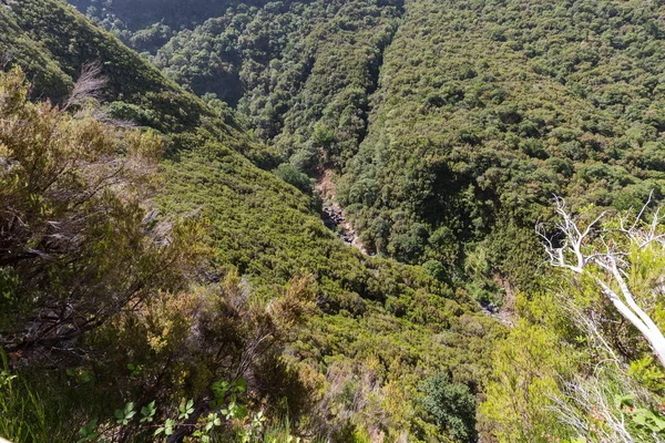 Γραφικά εναέρια πανόραμα των βουνών και των λόφων τροπικών δασών στο νησί Madeira, Πορτογαλία. — Φωτογραφία Αρχείου