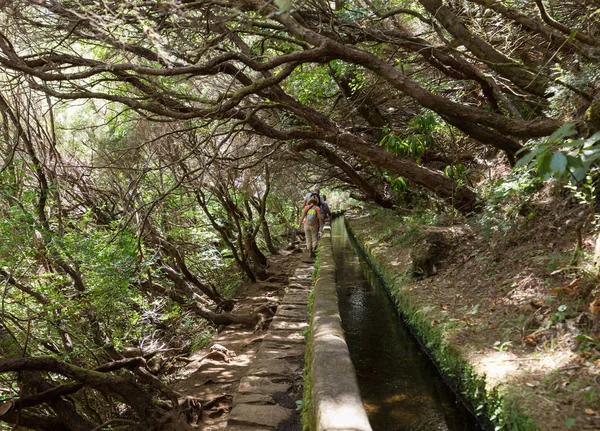 Turisztikai gyalogos levada-csatorna mentén. Madeira-szigetek. — Stock Fotó
