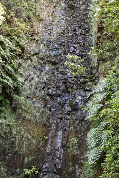 Last waterfall of the Twenty-five Fountains Levada hiking trail, Madeira Portugal — Stock Photo, Image