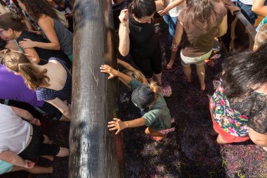  Estreito de Camara de Lobos 'ta Madeira Şarap Festivali