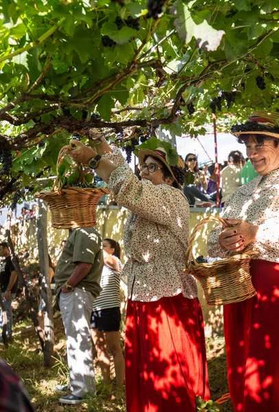Madeira Wine Festival in Estreito de Camara de Lobos, Madeira, Portugal. — Stock Photo, Image