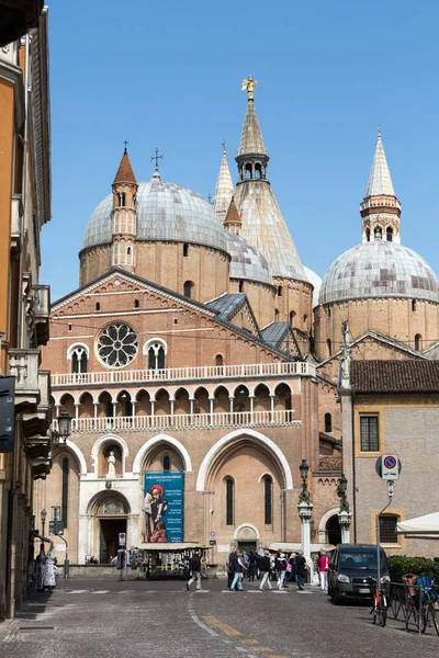 Bazylika di sant'antonio da padova, w Padwie, Włochy — Zdjęcie stockowe